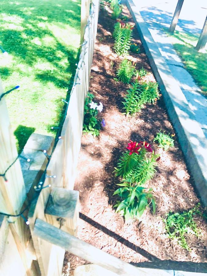 Meticulously Maintained One Bedroom Retreat! Apartment Minneapolis