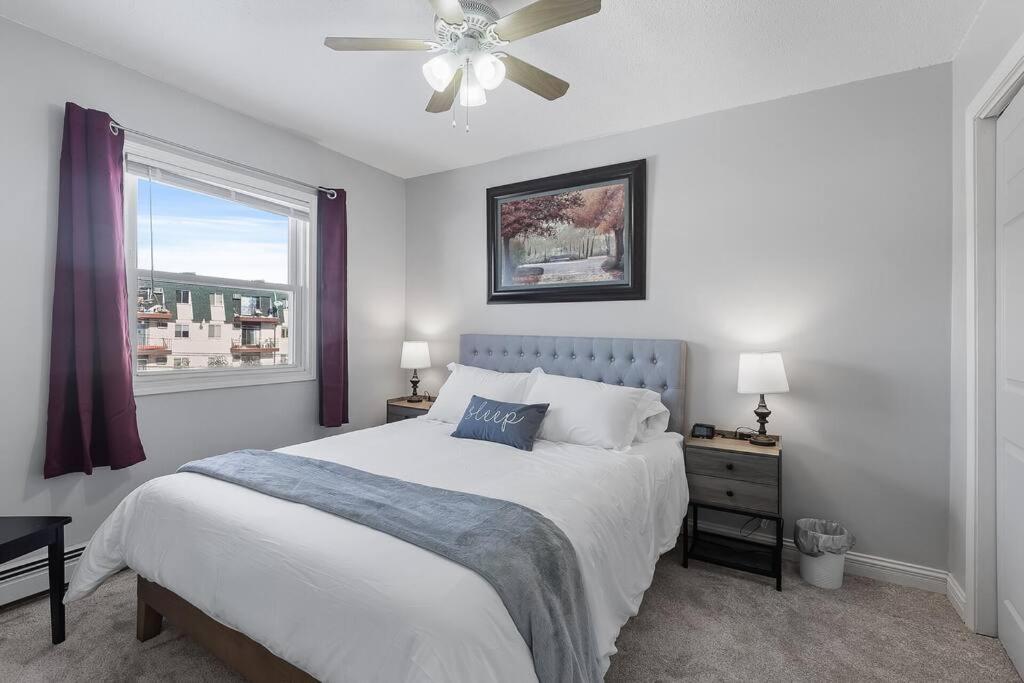 Apartamento Tranquil 2br Ne Mpls - 8073 4