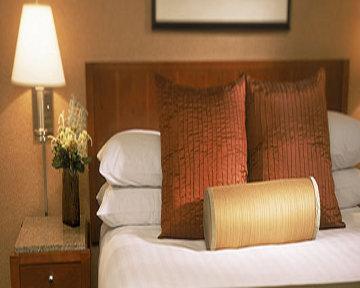 Hyatt Regency 4* Minneapolis