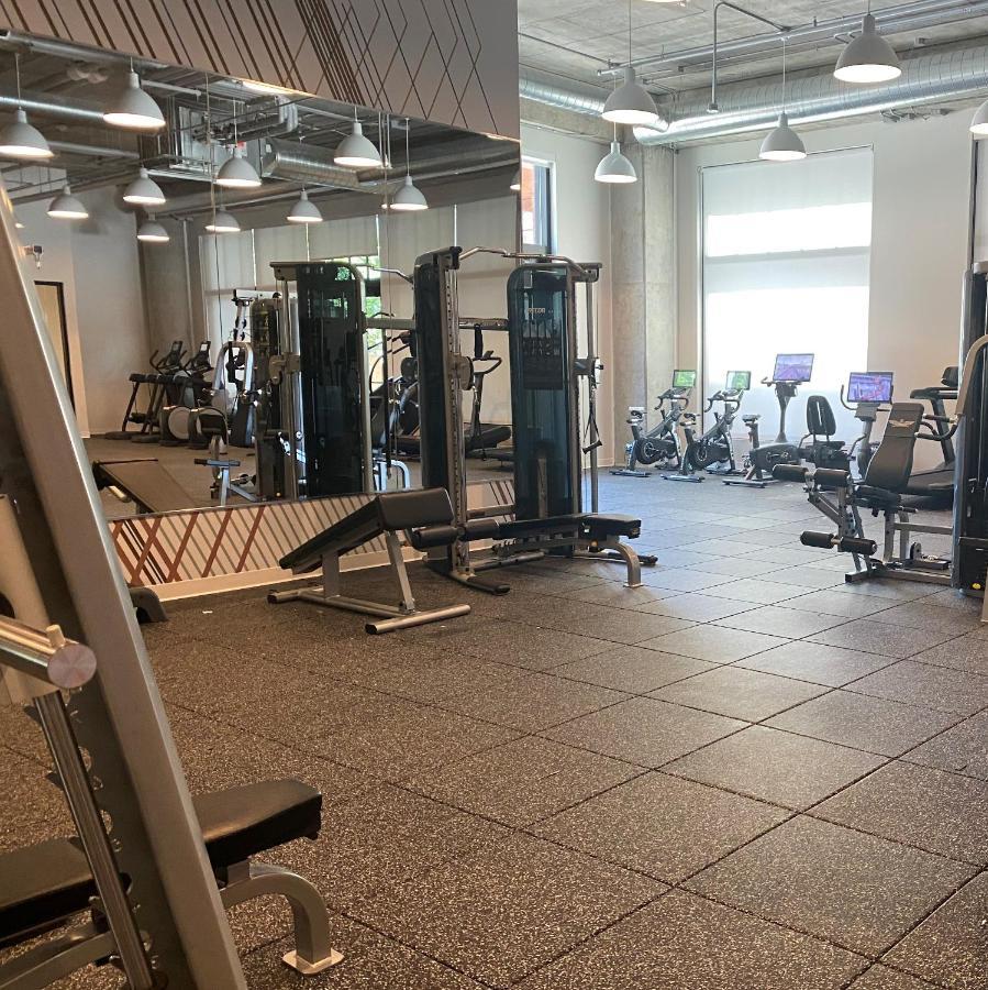 Sable 31 -