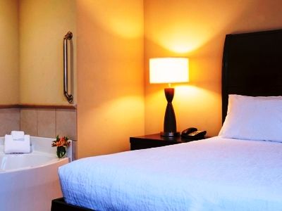 Hotel Hilton Garden Downtown 3*
