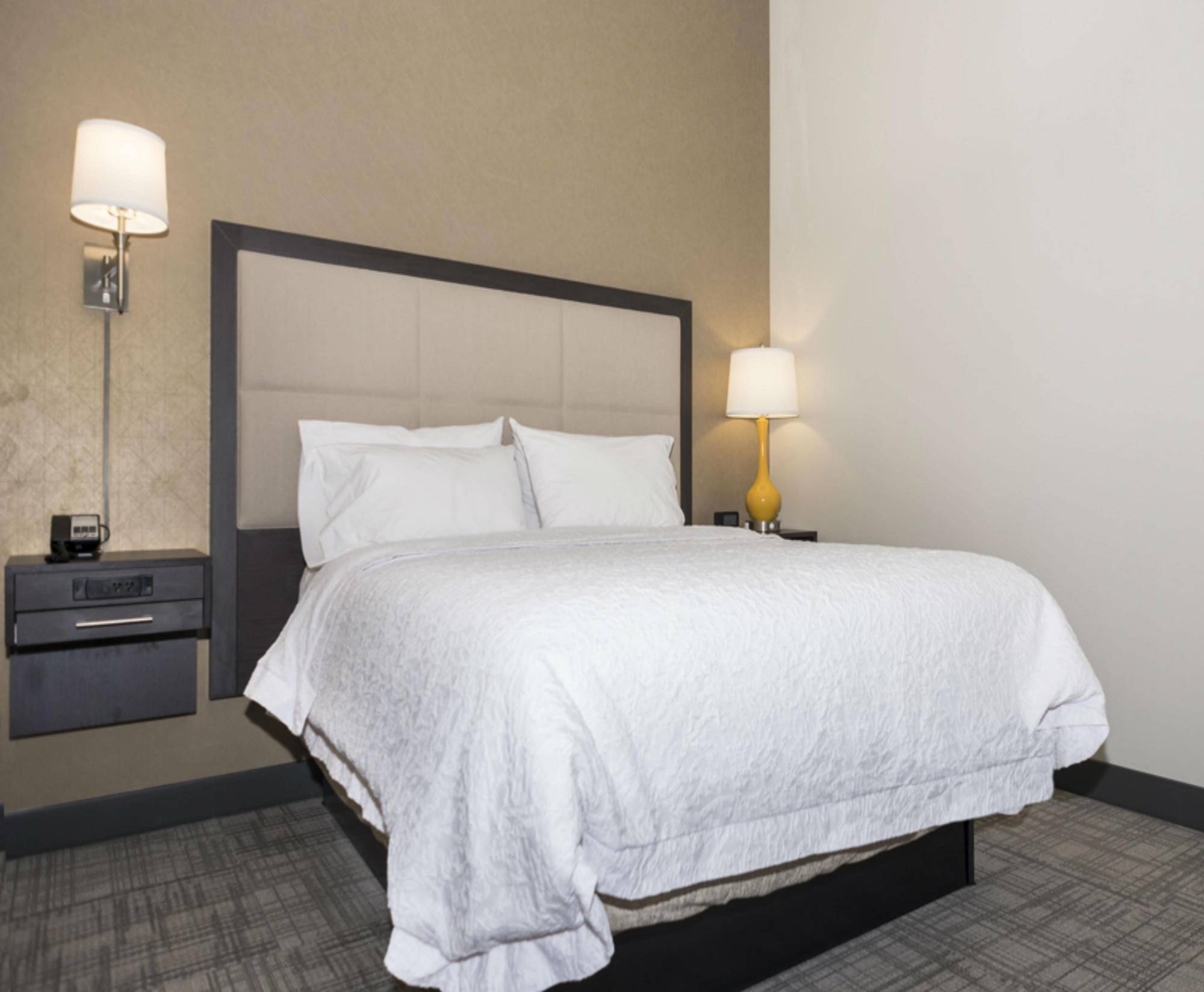 Hotel Hampton Inn And Suites Minneapolis University Area, Mn